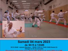 Stage Karate Do Hervé Delage 8ème Dan
