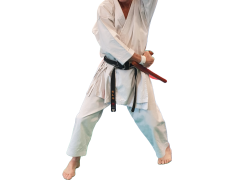 Stage Kobudo dirigé par Jean-Louis MOREL Sensei le 06 décembre 2025 au CAK